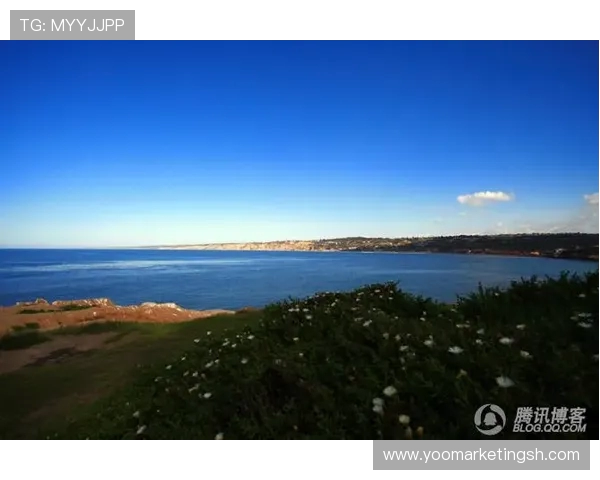 阿莱格里无惧关窗日子亚沙里与圣地亚哥相撞受伤